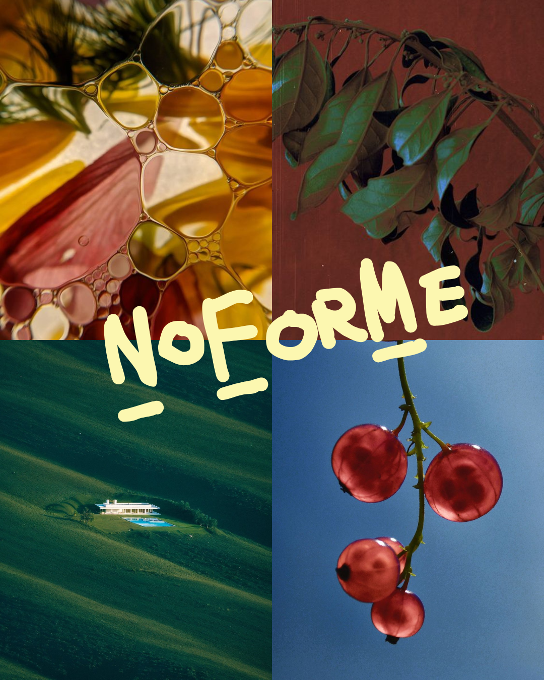 NOFORME essential oil blend