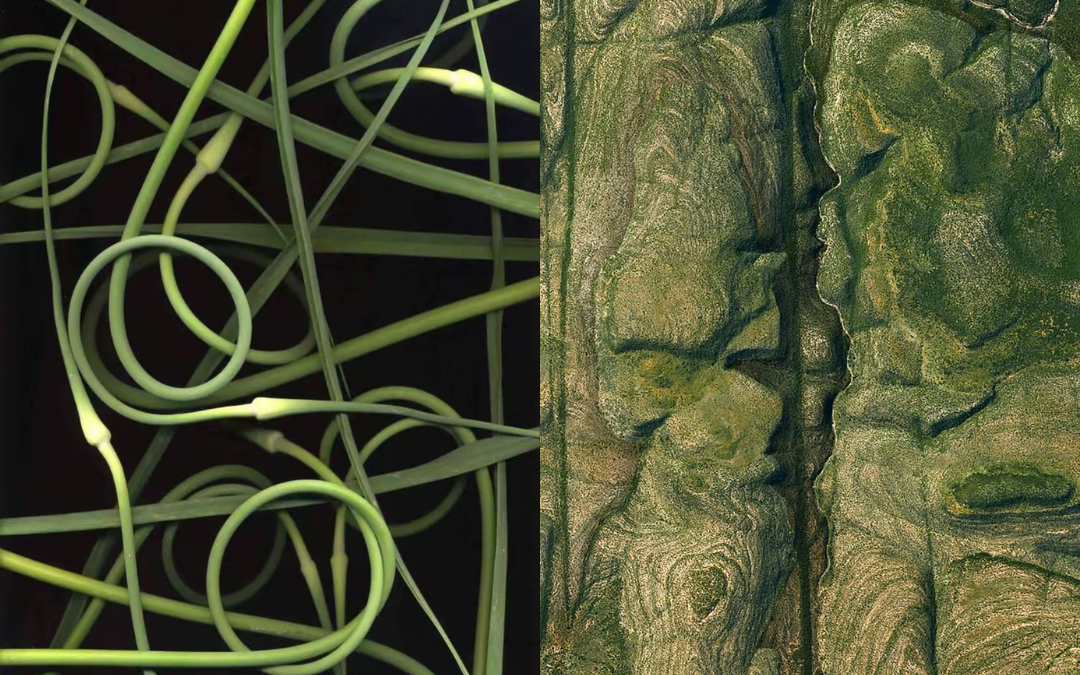 NOFORME product image