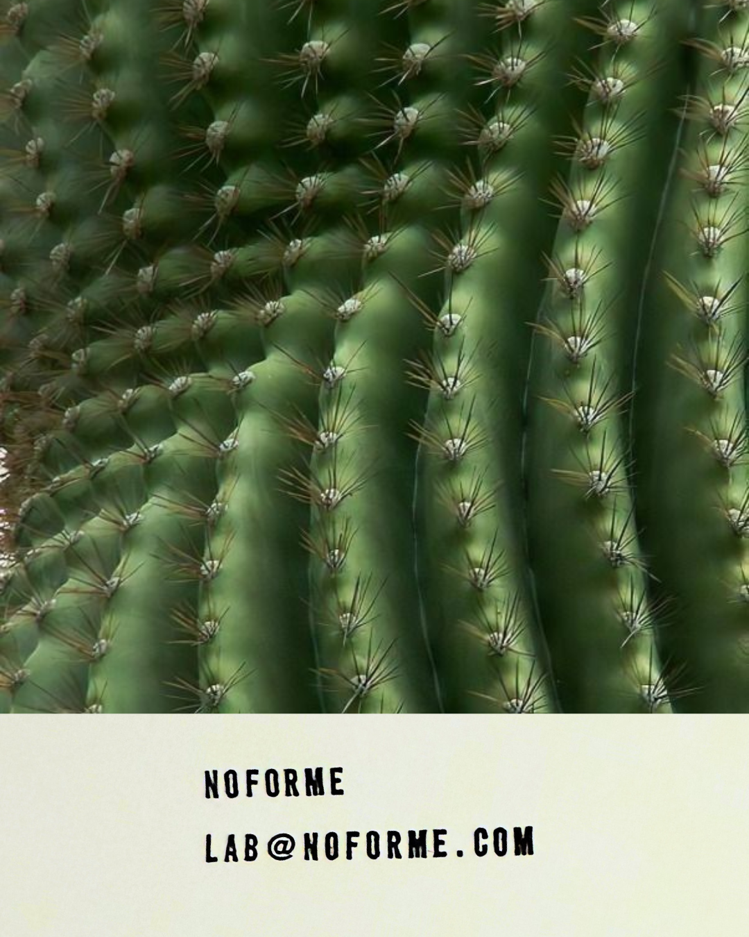 NOFORME aromatherapy product